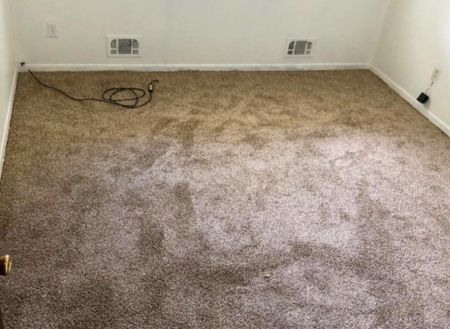 New Carpet After Installation